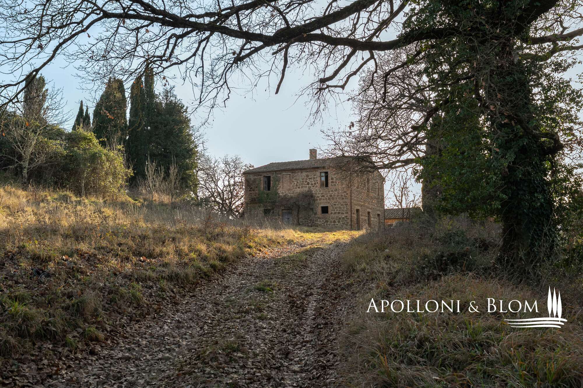 0bdd939b-3e82-44b1-943b-6f3bbbd5089a House in Città Della Pieve, Perugia, Italy