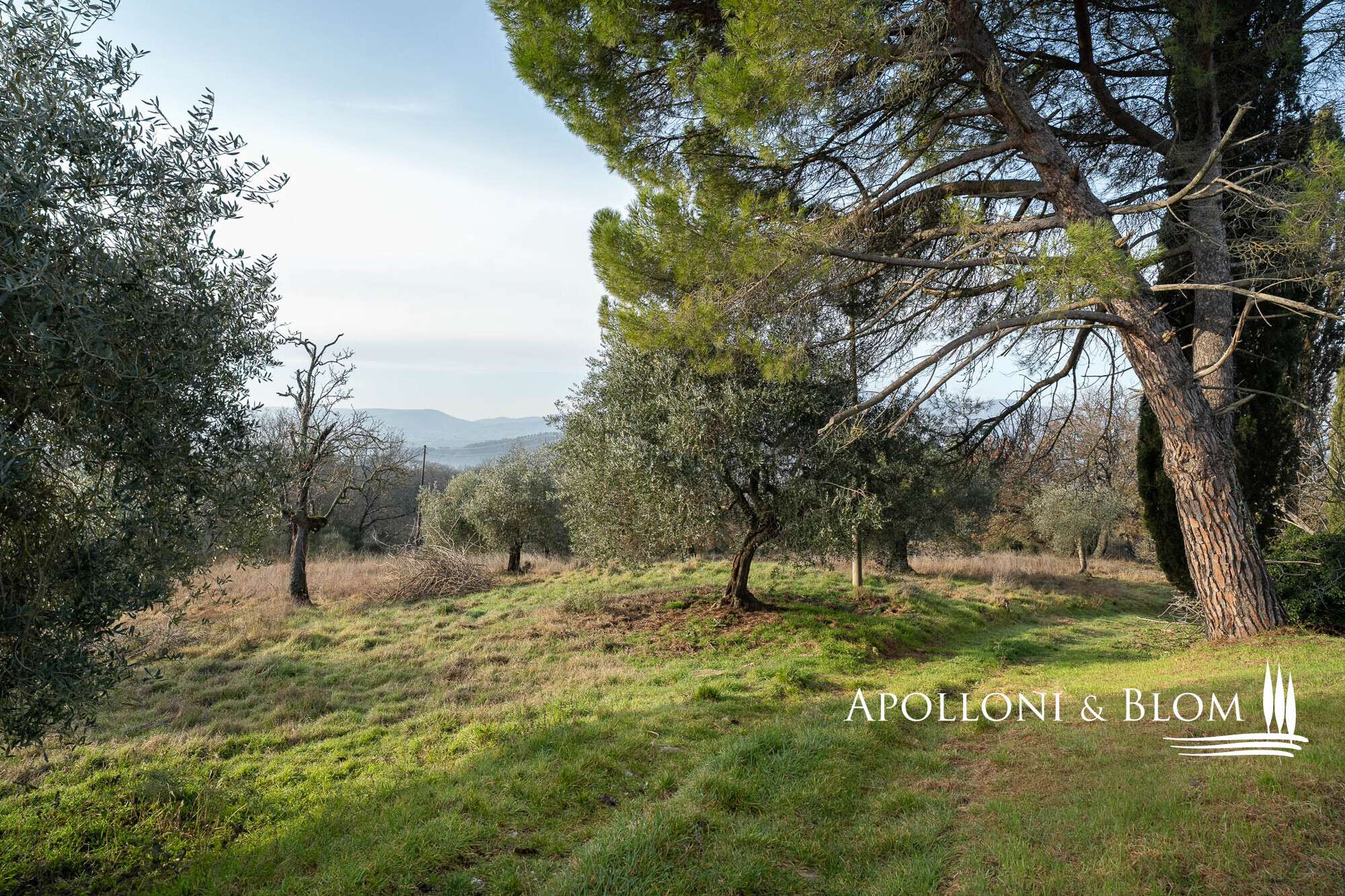 17429162-1976-4f07-be93-df8779e8510e House in Città Della Pieve, Perugia, Italy