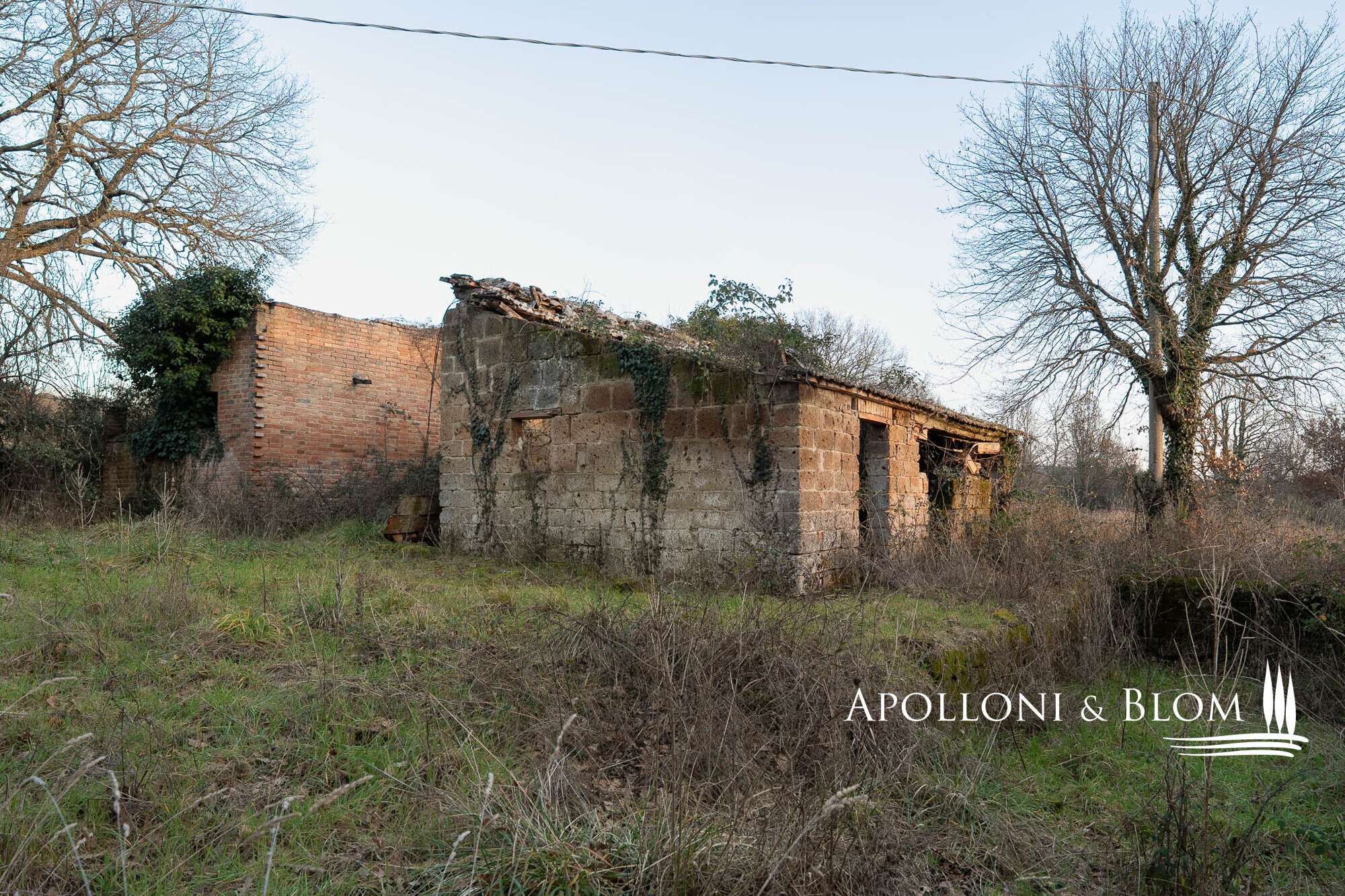 37d3d887-92f0-4592-83bd-a28e22a52eea House in Città Della Pieve, Perugia, Italy