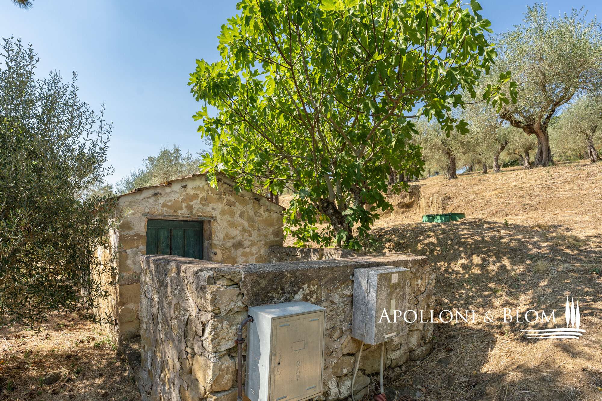 4d1bafd0-62a2-49a1-8f9c-a66ec393c054 House in Fontignano (perugia), Perugia, Italy