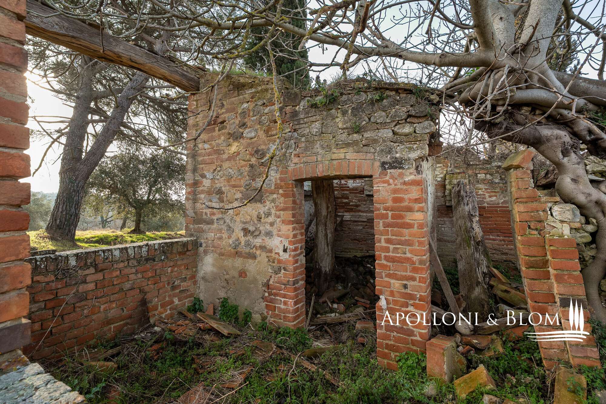 a8099311-bbc0-47eb-8a54-91f99580ff88 House in Città Della Pieve, Perugia, Italy